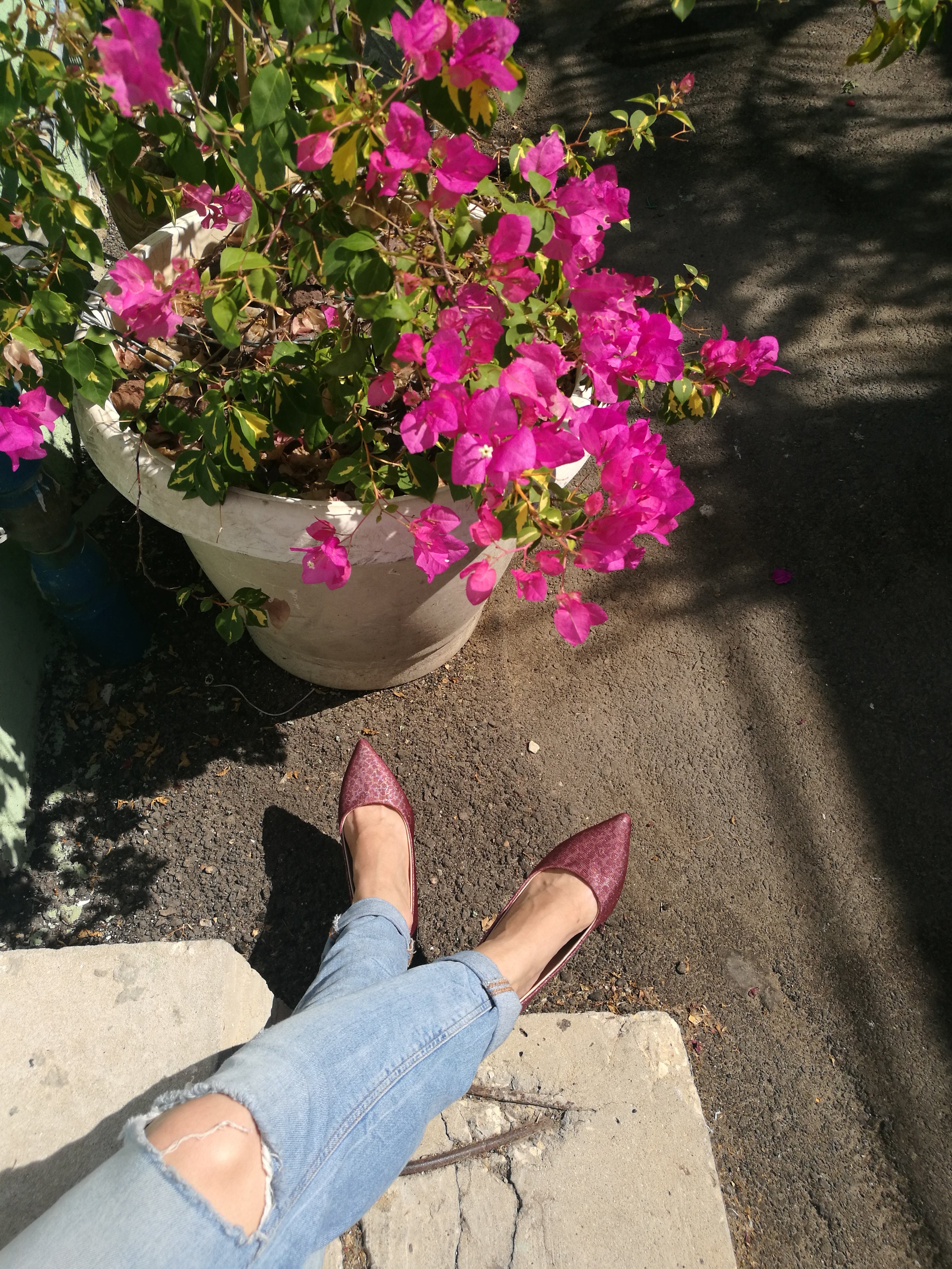 Bordeaux with printed MESH pumps