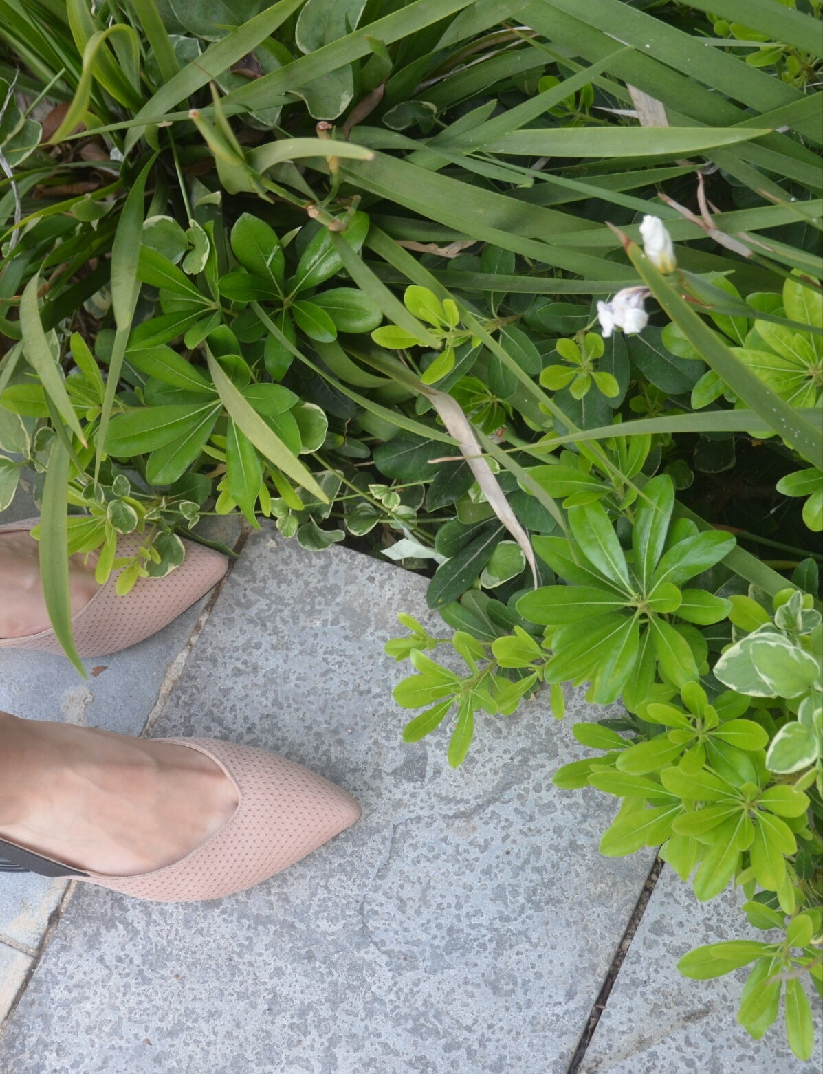 #14 Pale Pink & Black Flats